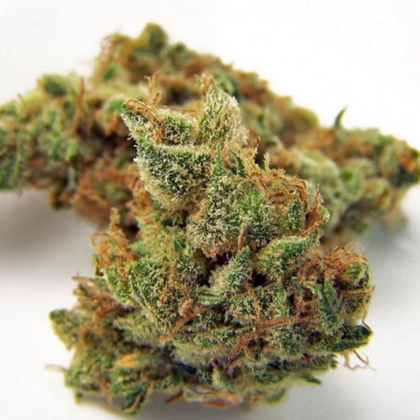 093b7d81-51f4-41a6-a7b4-d599f64c6986___Jilly_Bean_Strain
