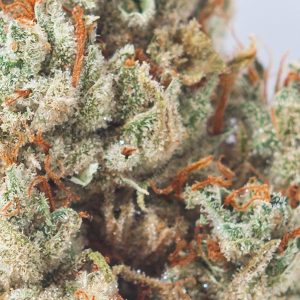 Koffee Breath 2
