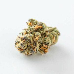 Koffee Breath 3