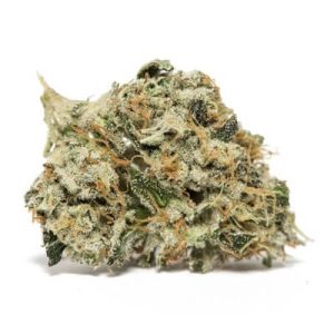 Kosher Kush Strain
